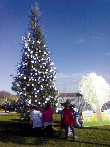 bambini_albero_massimi_ecologia